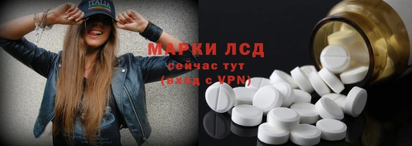 индика Михайловка