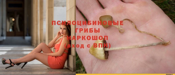 хмурый Алзамай