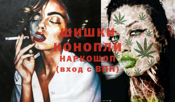 индика Михайловка