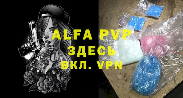 индика Михайловка