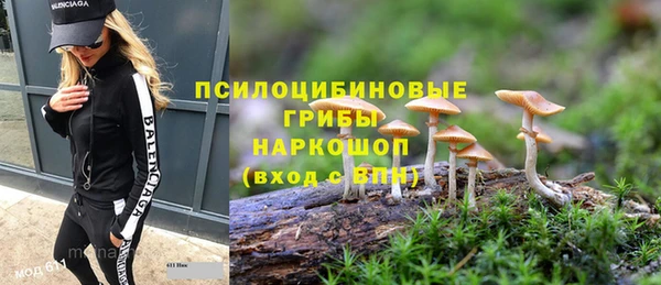 сатива Армянск