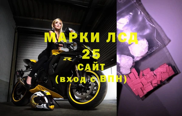 индика Михайловка