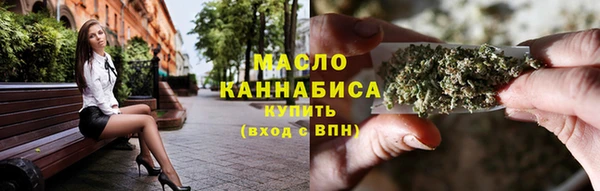 индика Михайловка