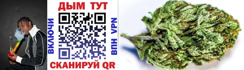 Бошки Шишки White Widow  даркнет телеграм  Лангепас  купить закладку 